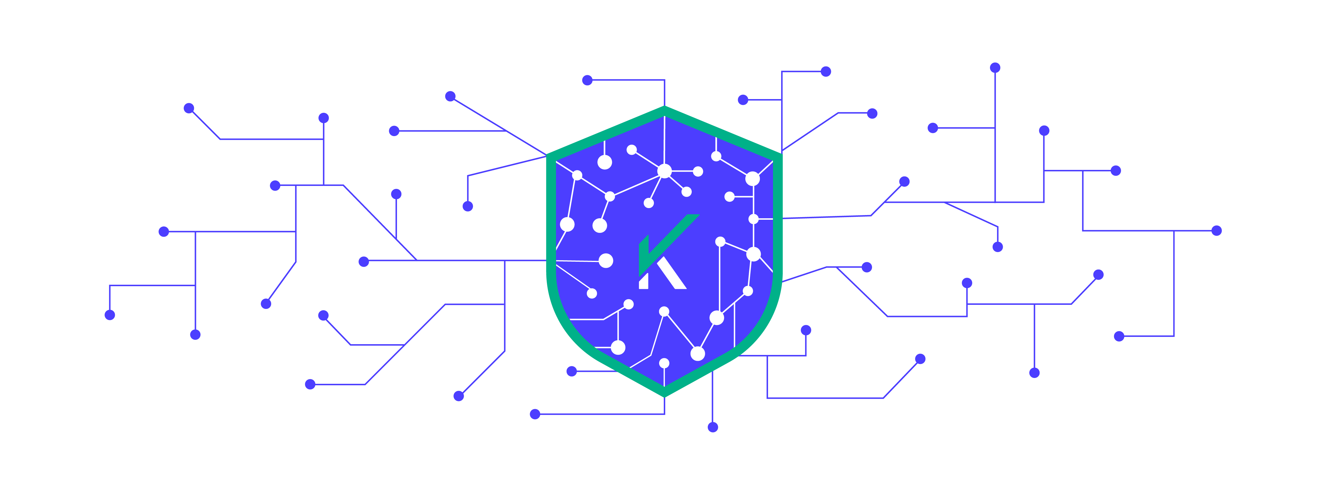 Stopping Chargebacks with Data-Driven Insights